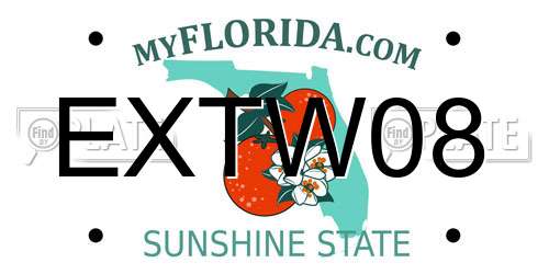 EXTW08 Florida License Plate