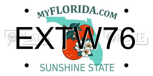 EXTW76 Florida License Plate
