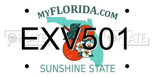 EXV501 Florida License Plate