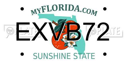 EXVB72 Florida License Plate