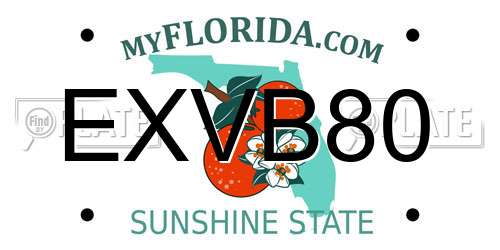 EXVB80 Florida License Plate