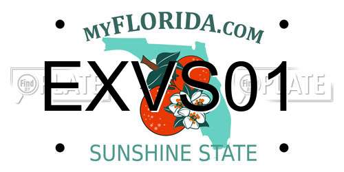 EXVS01 Florida License Plate