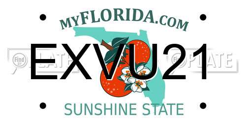 EXVU21 Florida License Plate