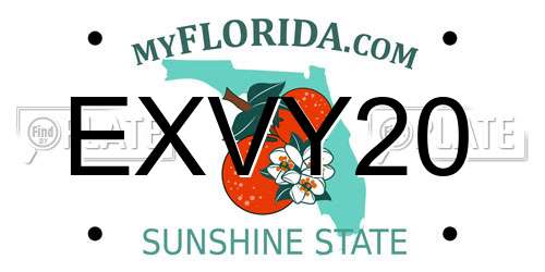 EXVY20 Florida License Plate