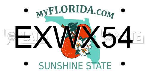 EXWX54 Florida License Plate