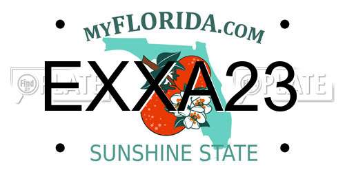 EXXA23 Florida License Plate