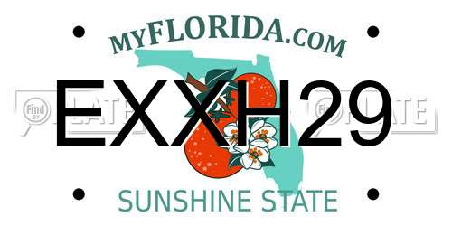 EXXH29 Florida License Plate