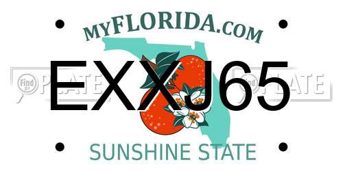 EXXJ65 Florida License Plate