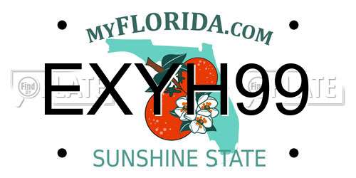 EXYH99 Florida License Plate