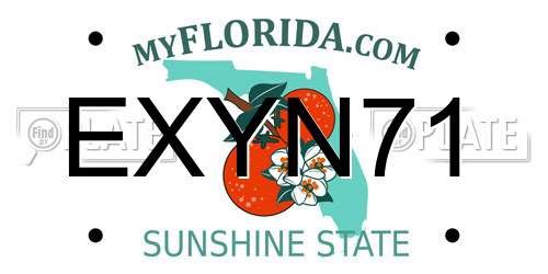 EXYN71 Florida License Plate