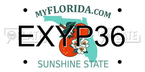 EXYP36 Florida License Plate