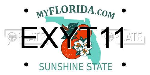 EXYT11 Florida License Plate
