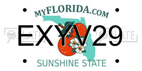 EXYV29 Florida License Plate