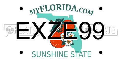 EXZE99 Florida License Plate