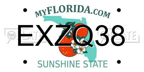 EXZQ38 Florida License Plate
