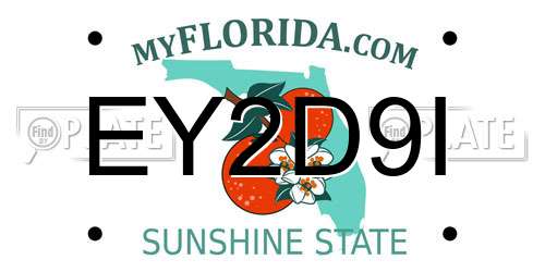 EY2D9I Florida License Plate