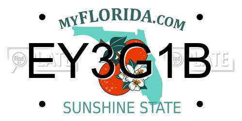 EY3G1B Florida License Plate
