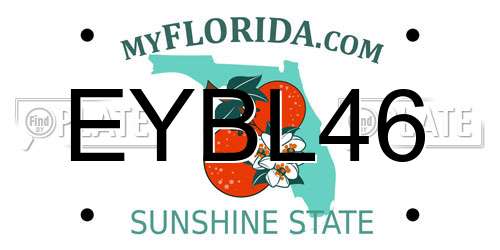 EYBL46 Florida License Plate