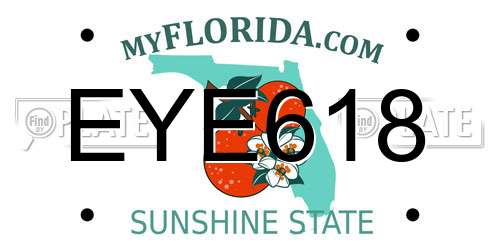 EYE618 Florida License Plate