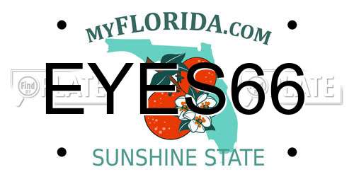 EYES66 Florida License Plate