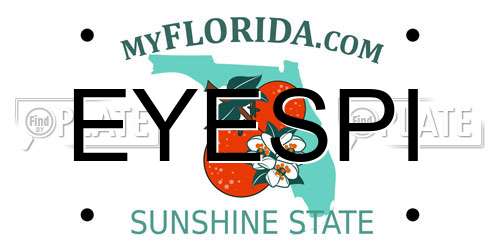 EYESPI Florida License Plate