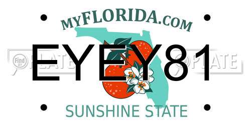 EYEY81 Florida License Plate