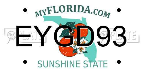 EYGD93 Florida License Plate