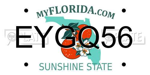 EYGQ56 Florida License Plate