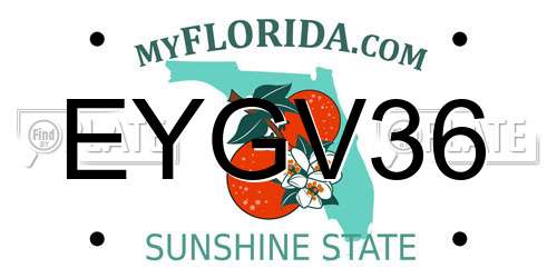 EYGV36 Florida License Plate