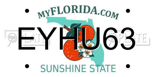 EYHU63 Florida License Plate