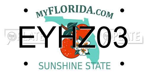 EYHZ03 Florida License Plate