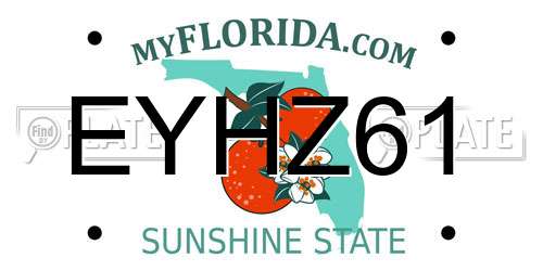 EYHZ61 Florida License Plate