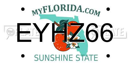 EYHZ66 Florida License Plate
