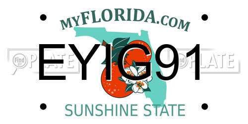 EYIG91 Florida License Plate