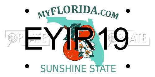 EYIR19 Florida License Plate