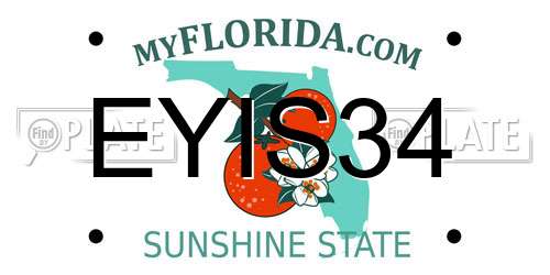 EYIS34 Florida License Plate