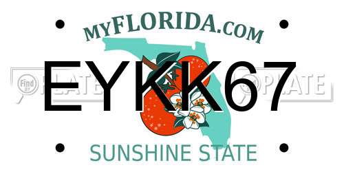 EYKK67 Florida License Plate