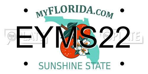 EYMS22 Florida License Plate