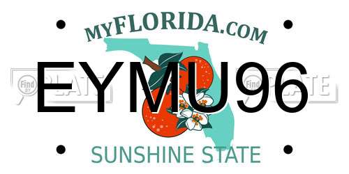 EYMU96 Florida License Plate
