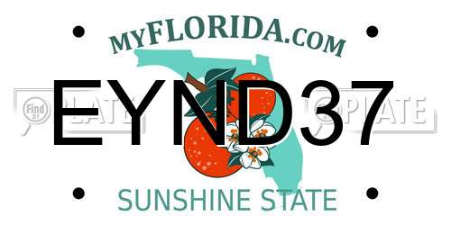 EYND37 Florida License Plate