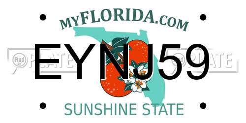 EYNJ59 Florida License Plate