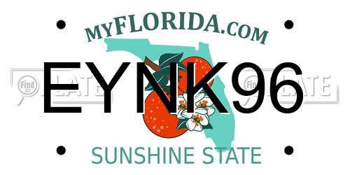 EYNK96 Florida License Plate