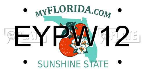 EYPW12 Florida License Plate