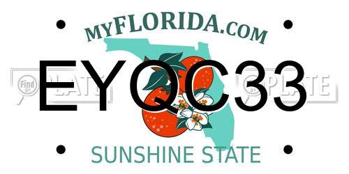 EYQC33 Florida License Plate