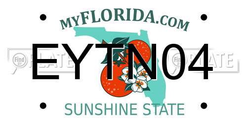 EYTN04 Florida License Plate