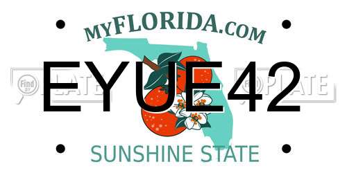 EYUE42 Florida License Plate