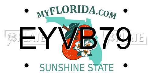 EYVB79 Florida License Plate
