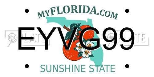 EYVG99 Florida License Plate