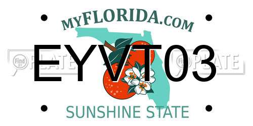 EYVT03 Florida License Plate