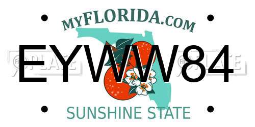 EYWW84 Florida License Plate